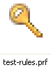 [This is an image of a file icon as might be shown in Windows Explorer. It shows a file named “test-rules.prf” with an icon which is a golden pin tumbler-style key.]